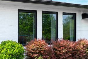 window replacement