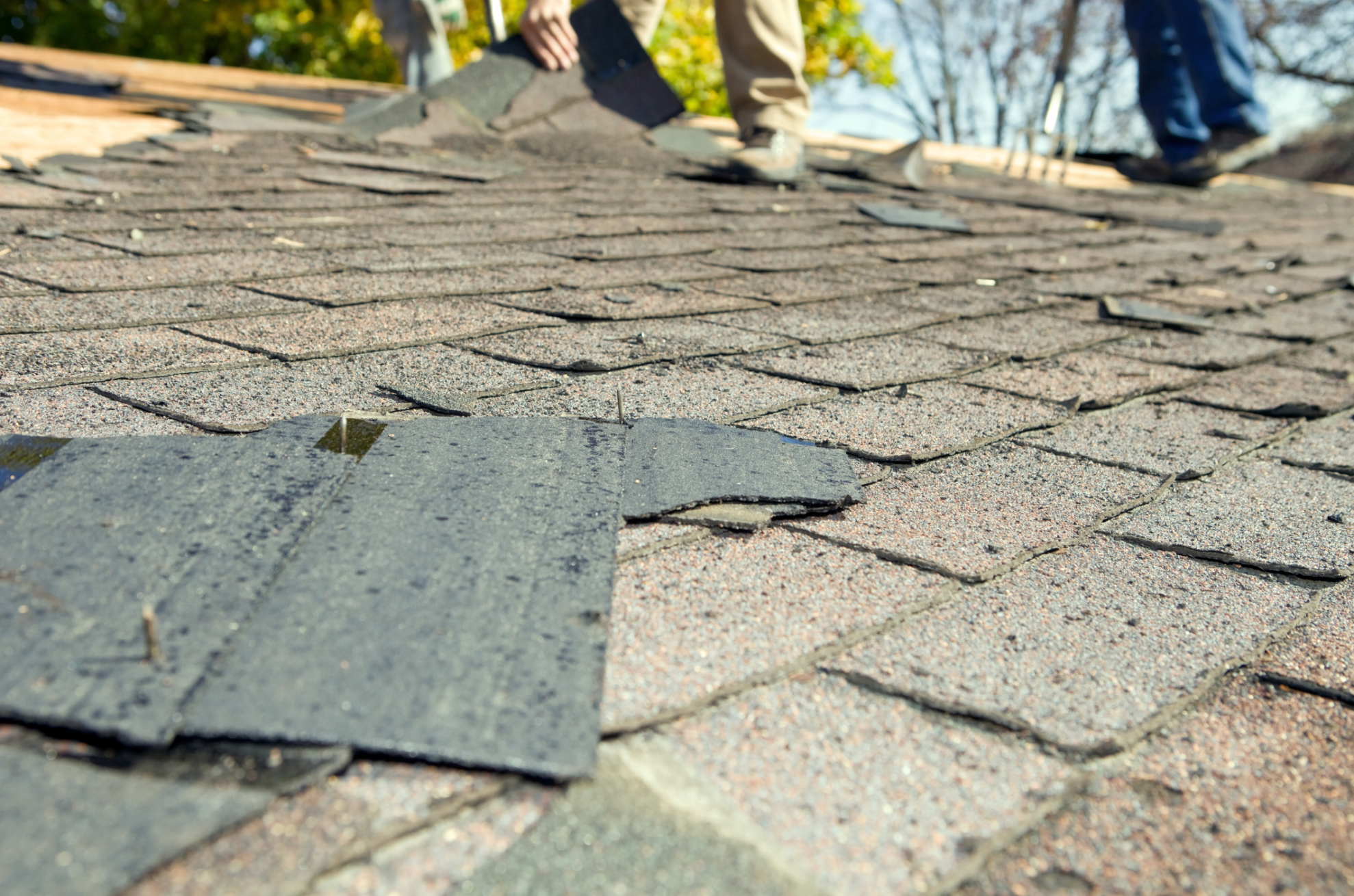 old roof, missing shingles, roof replacement,